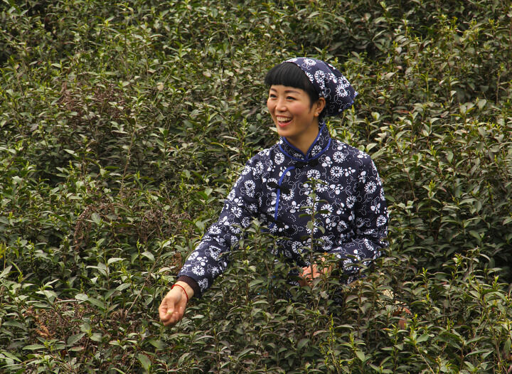 暗室欲火